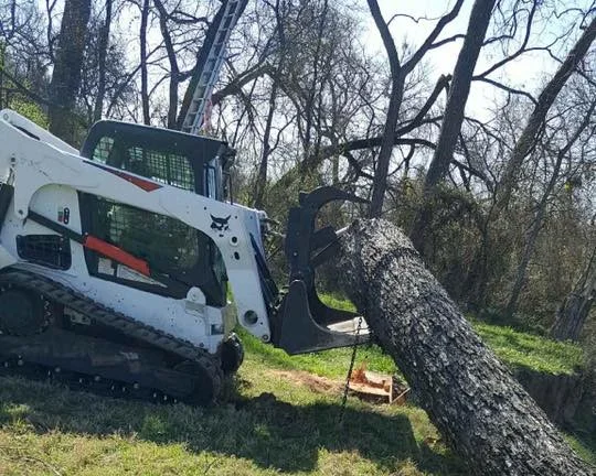 tree services in weatherford tx