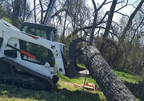 We specialize in limb and bough trimming, tree removal, stump grinding, and land clearing.