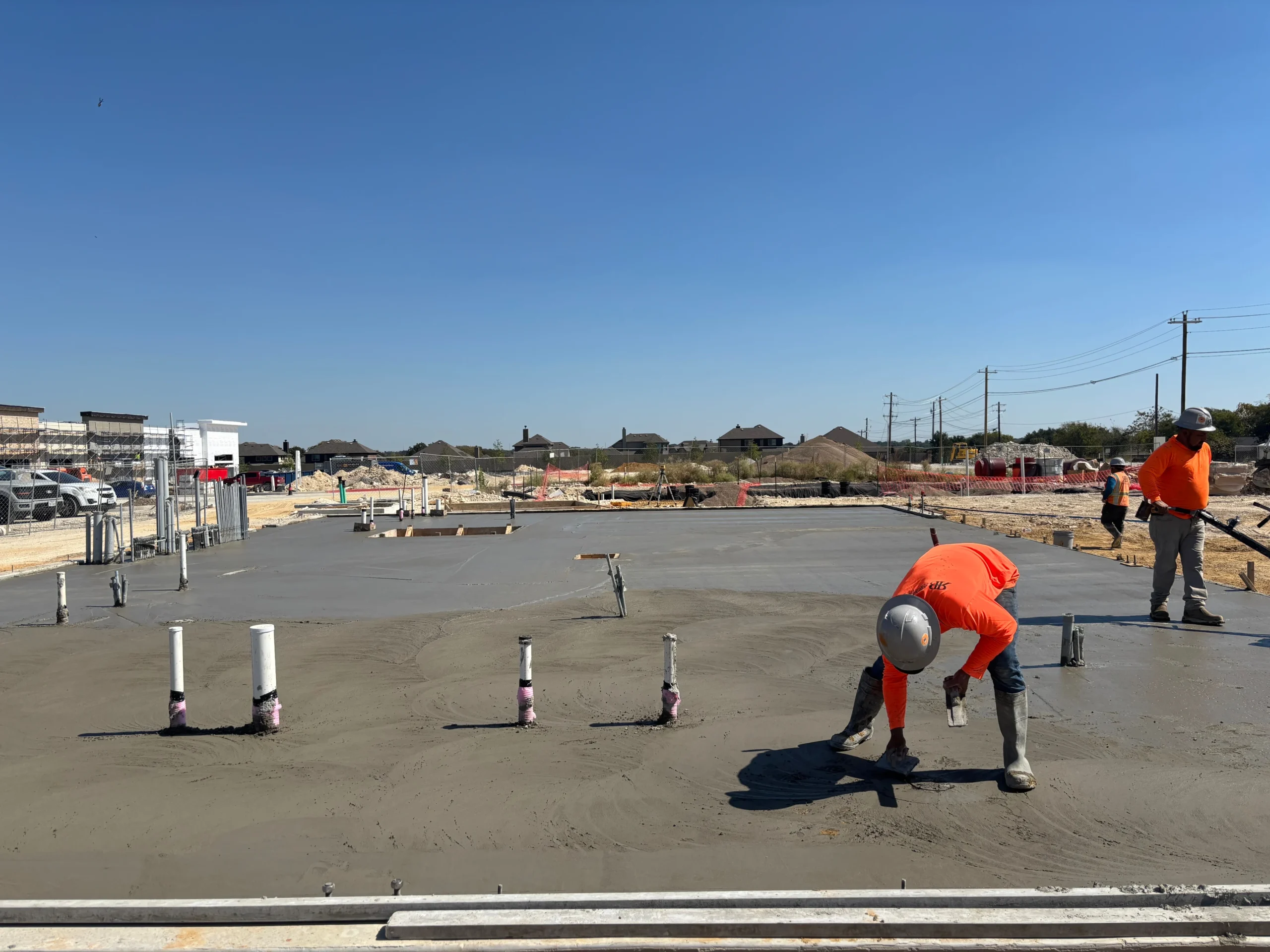 Concrete and Tree Service Leaders